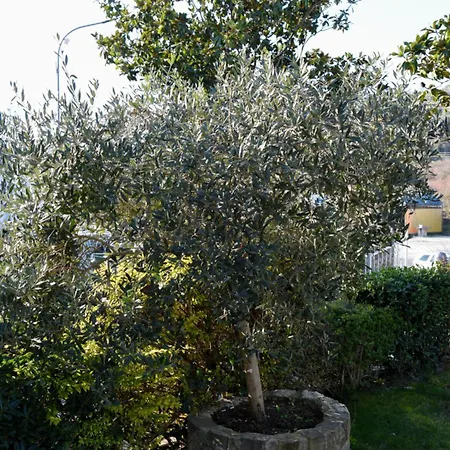 Hotel Restorant Halal Il Tramonto. 4*